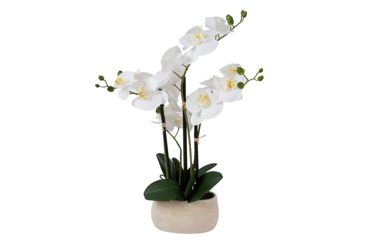 Tekokukka Orkidea In Garden Valkoinen - Parvekekukat - Tekokasvit