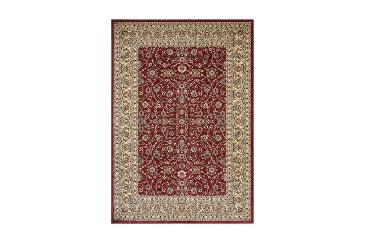 Matto Olympos Tummanpunainen/Beige 120x170 - D-sign - Wilton-matto - Kuviollinen matto & värikäs matto