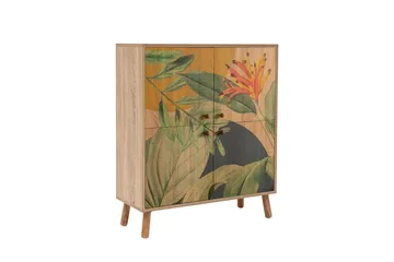 Anaya Eteiskalustesetti