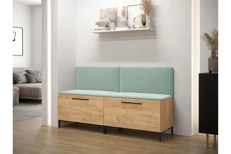 Eteiskaluste, undefined