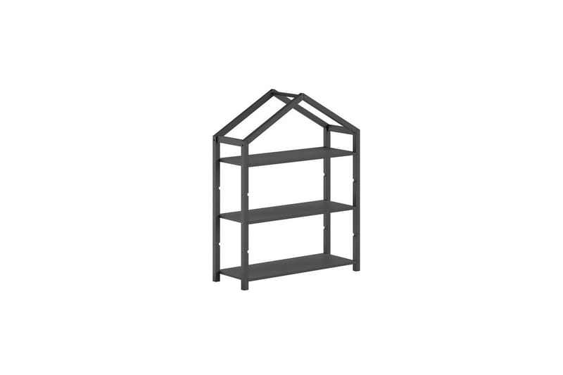 Kirjahylly Dallas Antrasiitti, Antrasiitti