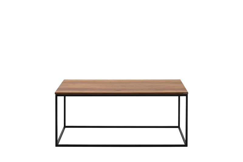 Ajmit sohvapöytä 100x60 cm ruskea, Hanah Home