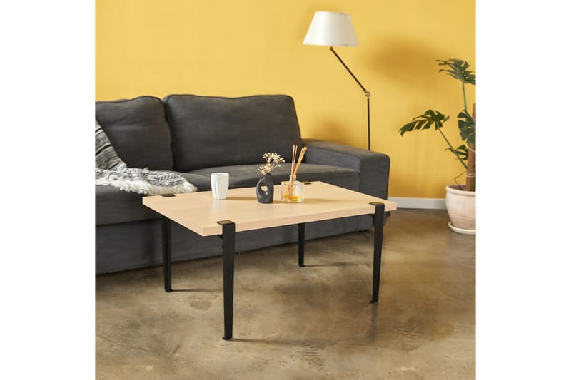 Neda sohvapöytä 90x60 cm ruskea/musta - Hanah Home - Huonekalut - Pöytä & ruokailuryhmä - Sohvapöytä