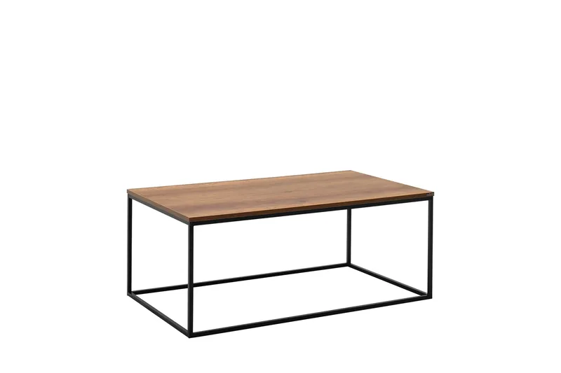 Ajmit sohvapöytä 100x60 cm ruskea - Hanah Home - Huonekalut - Pöytä & ruokailuryhmä - Sohvapöytä