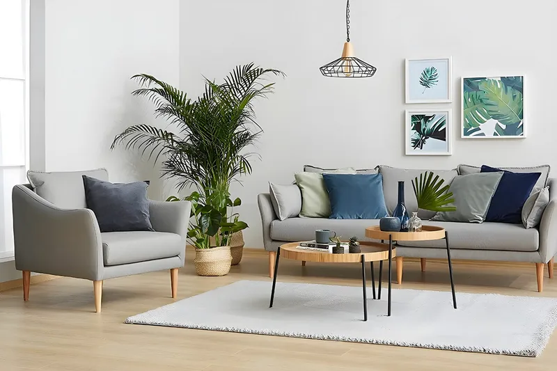 Satsipöytä Ramonda, Natural