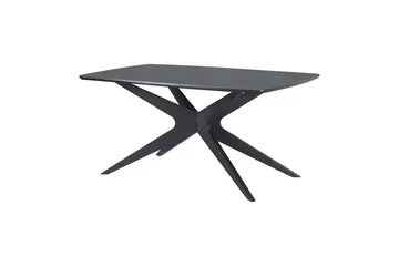 Dakona Ruokapöytä Suorakaiteen muotoinen 160x90 cm - Mustaa - Huonekalut - Pöytä & ruokailuryhmä - Ruokapöydät & keittiön pöydät