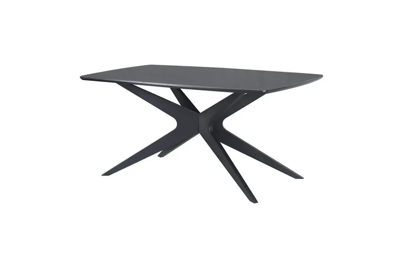 Dakona Ruokapöytä Suorakaiteen muotoinen 160x90 cm, Mustaa