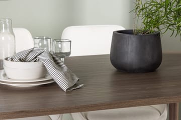 Oval matgrupp Venture Home Beige Natur 4st - Huonekalut - Pöytä & ruokailuryhmä - Ruokailuryhmä