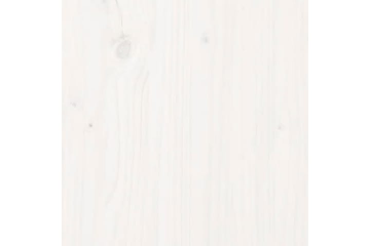 Pöytälevy valkoinen Ã˜80x2,5 cm täysi mänty - Valkoinen - Pöytälevy - Pöydänjalat & tarvikkeet