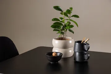 Rectangular Dining Set Venture Home - Huonekalut - Pöytä & ruokailuryhmä - Ruokailuryhmä