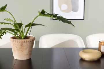 Rektangulär matgrupp Venture Home Offwhite Svart 6st - Huonekalut - Pöytä & ruokailuryhmä - Ruokailuryhmä