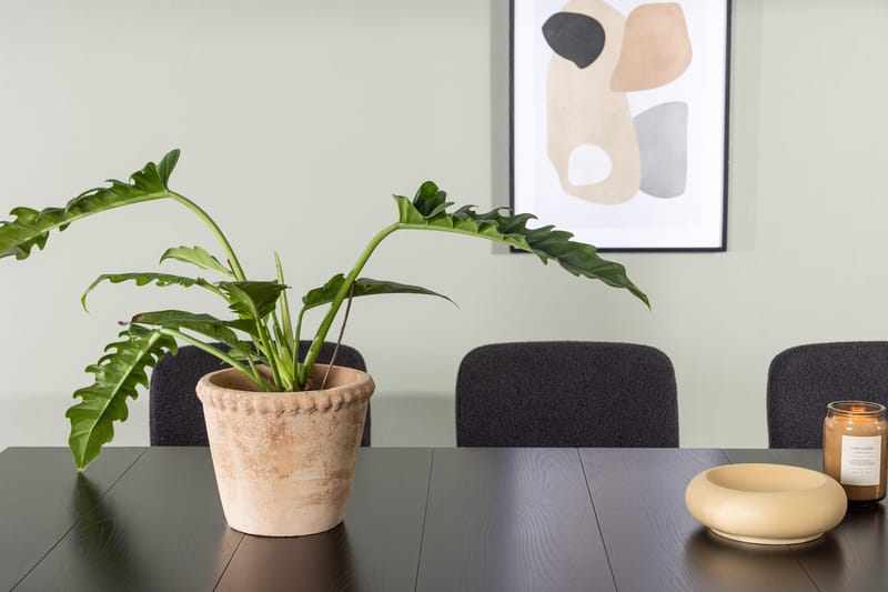 Rektangulär matgrupp Venture Home Svart Svart 6st - Huonekalut - Pöytä & ruokailuryhmä - Ruokailuryhmä