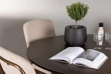 Rund matgrupp Venture Home Beige Mörkbrun 4st - Huonekalut - Pöytä & ruokailuryhmä - Ruokailuryhmä