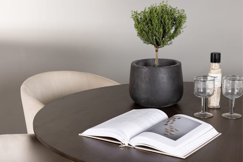 Ruokailuryhmä Kaseidon 100 cm Pyöreä 4 Berit Tuolia - Beige - Huonekalut - Pöytä & ruokailuryhmä - Ruokailuryhmä