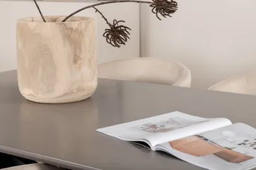 Ruokailuryhmä Piazza 180 cm Suorakulmainen 6 Berit Tuolia - Beige - Huonekalut - Pöytä & ruokailuryhmä - Ruokailuryhmä