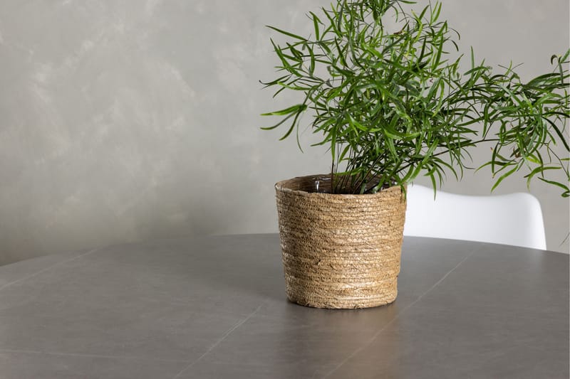 Ruokailuryhmä Piazza 120 cm Pyöreä 4 Zeno Tuolia - Harmaa - Huonekalut - Pöytä & ruokailuryhmä - Ruokailuryhmä