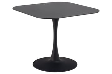 Ruokapöytä Salm 90x90 cm