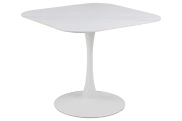Ruokapöytä Salm 90x90 cm