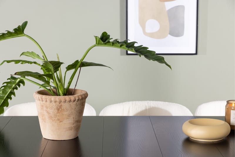 Ruokaryhmä Astrid 200 cm Suorakulmainen 6 Edina-tuolilla - Musta - Huonekalut - Pöytä & ruokailuryhmä - Ruokailuryhmä