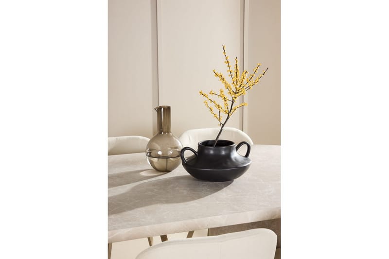 Ruokaryhmä Narvik 100x200 cm Beige 6 Lilja-tuolilla - Huonekalut - Pöytä & ruokailuryhmä - Ruokailuryhmä