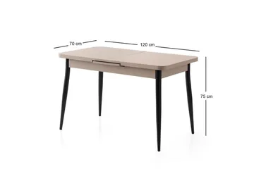 Saidie Ruokapöytä 120 cm Suorakulmainen - Ruskea - Huonekalut - Pöytä & ruokailuryhmä - Ruokapöydät & keittiön pöydät