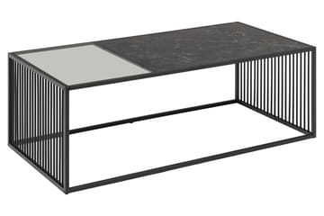 Saklani 120x60 cm suorakaiteen muotoinen sohvapöytä metallirunko ja lasilevy - Musta - Huonekalut - Pöytä & ruokailuryhmä - Marmoripöydät