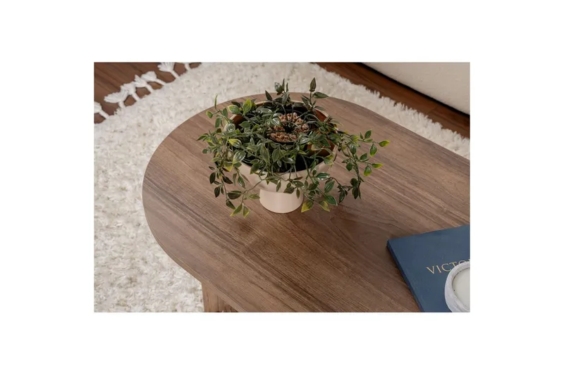 Sohvapöytä Hasina Pähkinäpuu - Pähkinäpuu - Huonekalut - Pöytä & ruokailuryhmä - Sohvapöytä