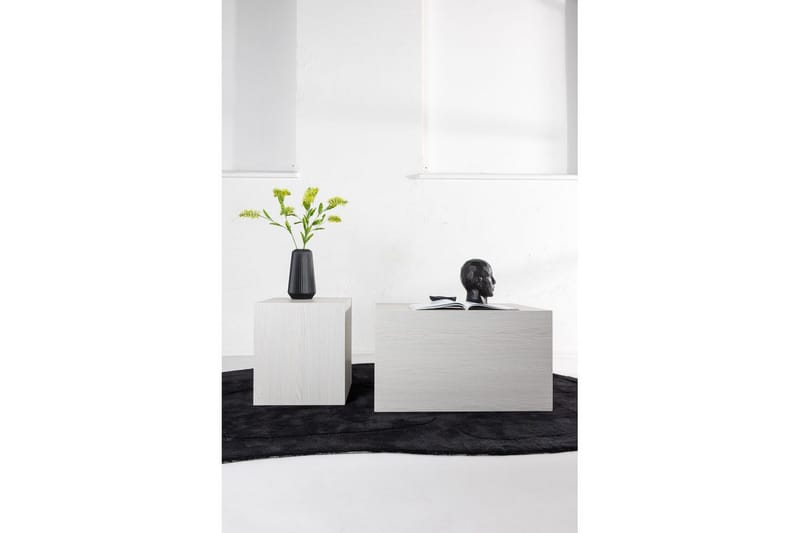 Sohvapöytäsetti York 2 kpl 60x80 cm/40x40 cm Valkoinen - Valkoinen - Huonekalut - Pöytä & ruokailuryhmä - Sohvapöytä