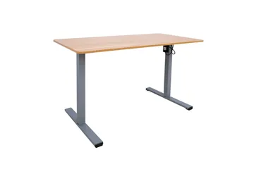 Työpöytä Ergo Optimal 1-moottorilla 120x60 cm Puu/Harmaa - Huonekalut - Pöytä & ruokailuryhmä - Työpöytä - Kirjoituspöytä