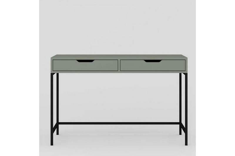 Loryn Kirjoituspöytä 55x120 cm - Vihreä - Huonekalut - Pöytä & ruokailuryhmä - Työpöytä - Tietokonepöytä