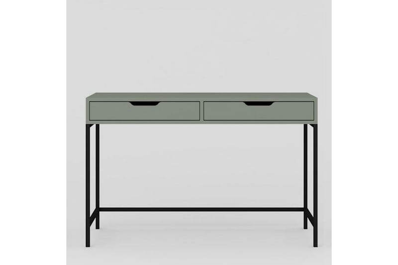 Loryn Kirjoituspöytä 55x120 cm - Vihreä - Huonekalut - Pöytä & ruokailuryhmä - Työpöytä
 - Tietokonepöytä