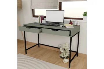 Loryn Kirjoituspöytä 55x120 cm - Vihreä - Huonekalut - Pöytä & ruokailuryhmä - Työpöytä - Tietokonepöytä
