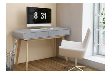 Kirjoituspöytä Caitlyn 120 cm - Harmaa - Huonekalut - Pöytä & ruokailuryhmä - Työpöytä - Tietokonepöytä