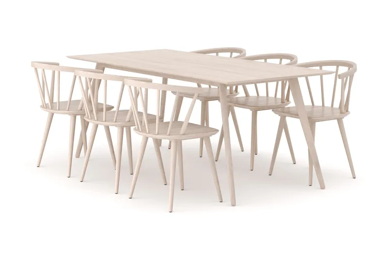 Tyrö Ruokailuryhmä, jossa 6 Tyrö Käsinojallista tuolia, Whitewash/Whitewash