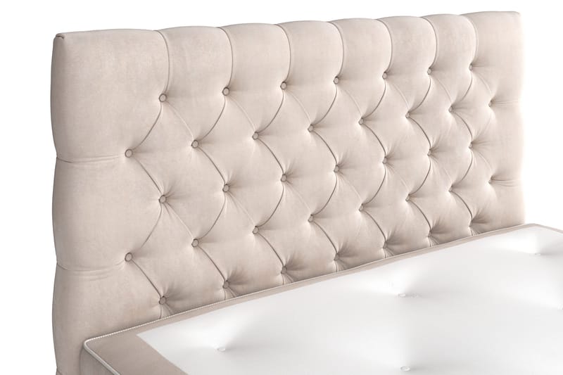 Jenkkisänky Celine 120x200 cm Sametti - Beige - Huonekalut - Sänky - Jenkkisängyt