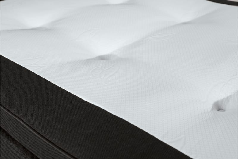 Jenkkisänky Lago 180x200 - Musta - Huonekalut - Sänky - Jenkkisängyt