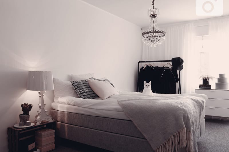 Jenkkisänky Longford 180x200 Kova Polyeetterivaahto - Vaaleanharmaa - Huonekalut - Sänky - Parisänky