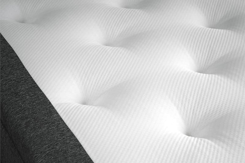 Jenkkisänky Lucky 120x200 Lateksi - Musta/Harmaa - Huonekalut - Sänky - Yhden hengen sängyt