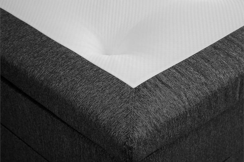 Jenkkisänky Lucky 120x200 Lateksi - Musta/Harmaa - Huonekalut - Sänky - Yhden hengen sängyt