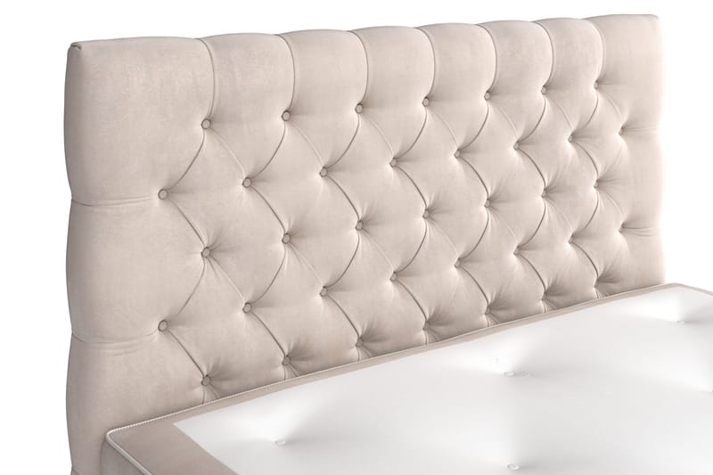 Sänkypaketti Celine 140x200 cm - Beige/Sametti - Huonekalut - Sänky - Jenkkisängyt