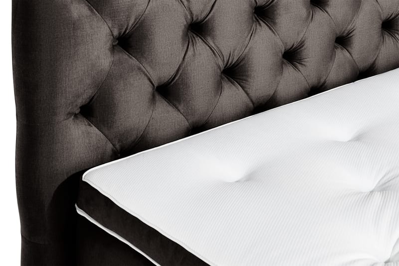 Sänkypaketti Rebeca 160x200 cm Topattu pääty - Tummanharmaa/Sametti - Huonekalut - Sänky - Jenkkisängyt