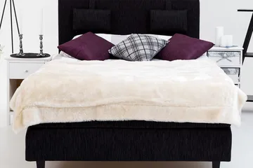 Jenkkisänky Longford 120x200 Kova Polyeetterivaahto - Musta - Huonekalut - Sänky - Yhden hengen sängyt