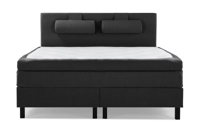 Jenkkisänky Lucky 150x200 Polyeetteri, Musta/Harmaa