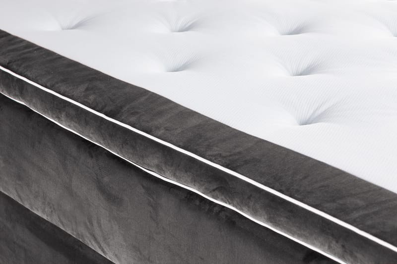 Säilytyssänky Alessia LED-valaistuksella 160x200 cm Sametti - Tummanharmaa - Huonekalut - Sänky - Sänkypaketti