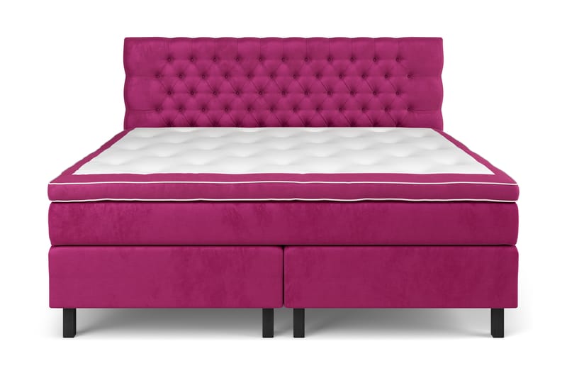 Sänkypaketti Estelle 210x210 cm Sametti - Roosa - Huonekalut - Sänky - Jenkkisängyt