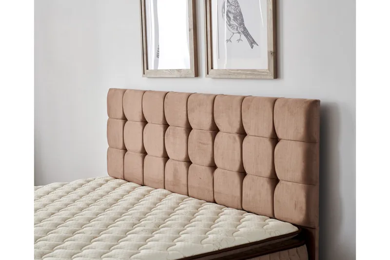 Jenkkisänky Eathelin 160x200 cm - Vaaleanruskea - Huonekalut - Sänky - Yhden hengen sängyt