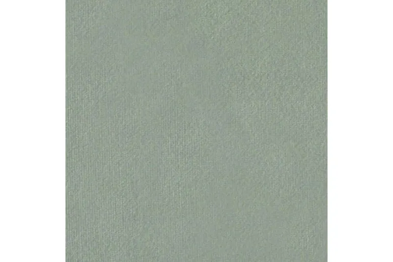 Jenkkisänky Forenza 80x200 cm - Vihreä - Huonekalut - Sänky - Sänkypaketti