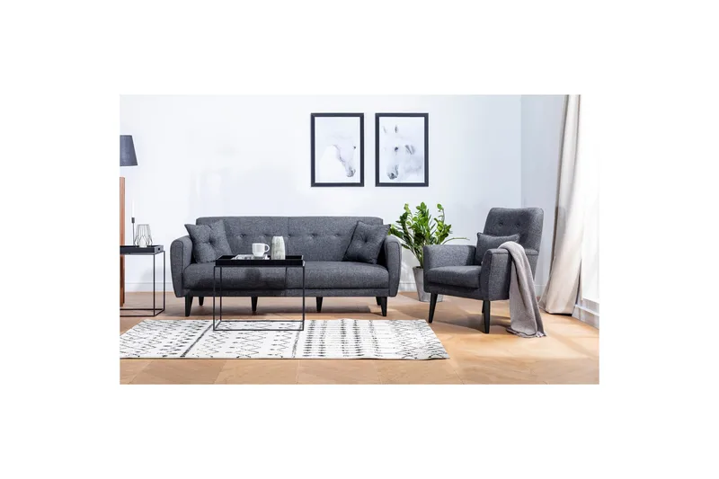 Hunterville sohvaryhmä, Antrasiitti