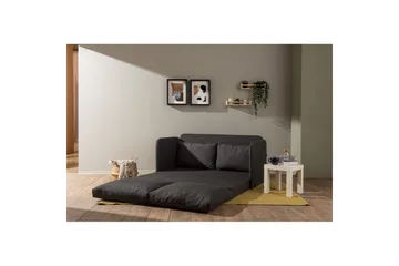 2-istuttava vuodesohva Rubby (148 x 70 x 66 cm) Tummanharmaa - Tummanharmaa - Huonekalut - Sohva - Vuodesohva