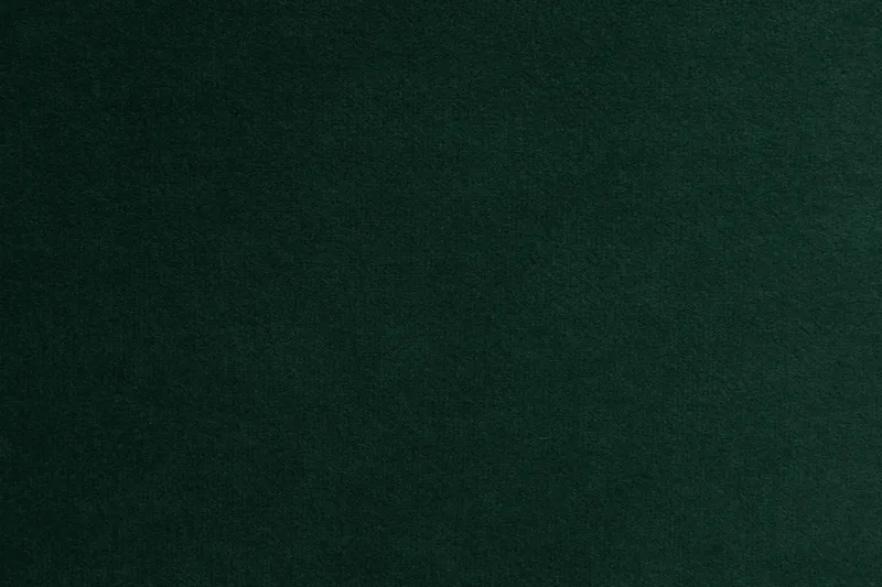 Samettisohva Elion 2:n ist divaanilla Vasen - Vihreä - Huonekalut - Sohva - Divaanisohva - 2 istuttava sohva divaanilla